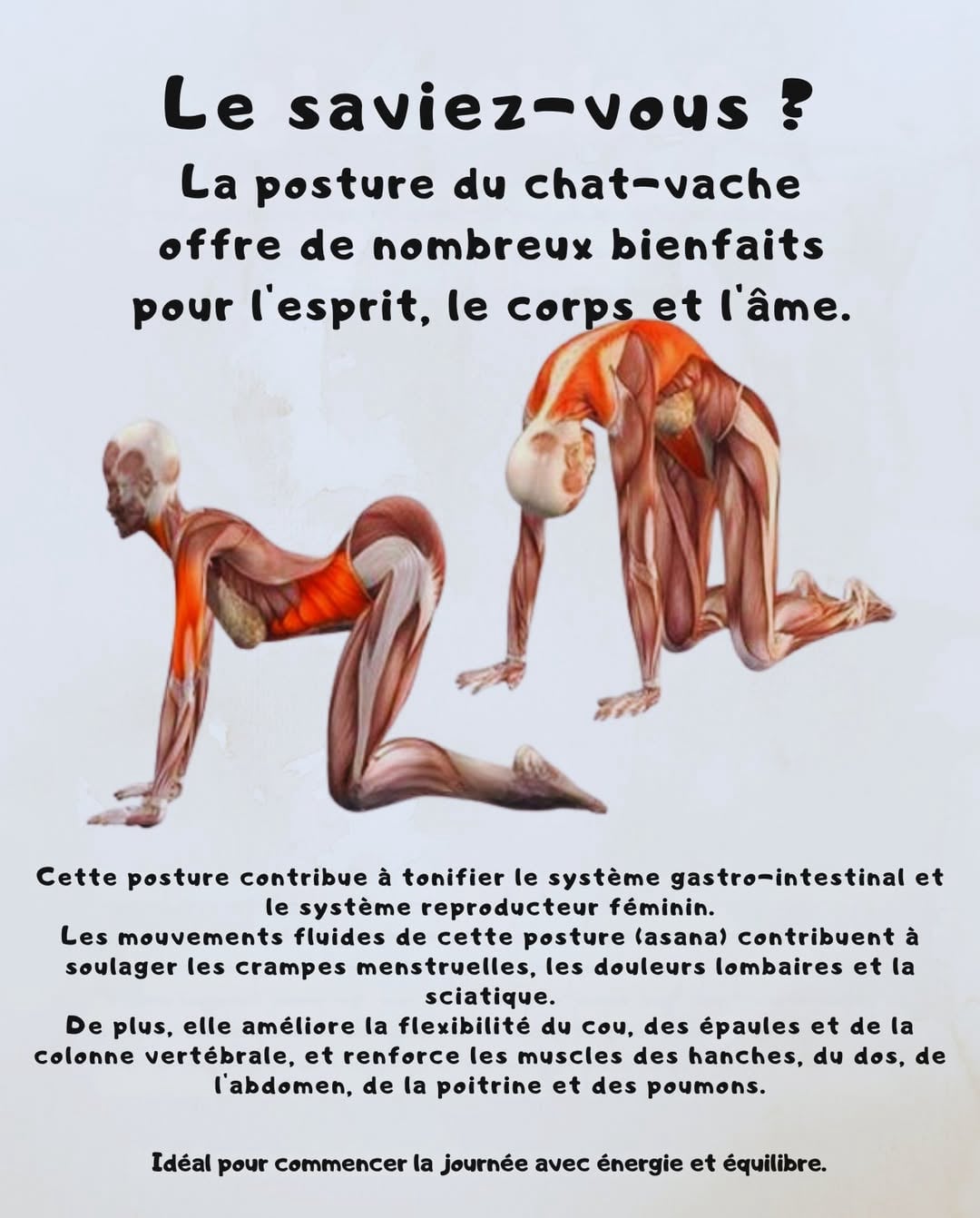 Yoga nidra	Waterloo	Espace bien-être